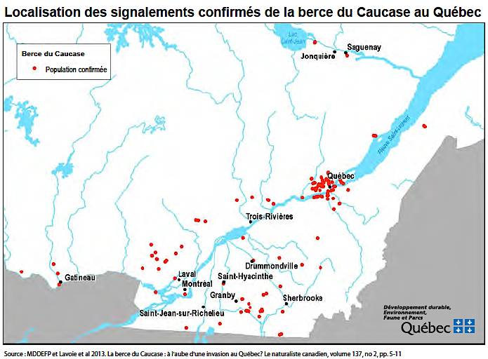 Carte répartition - Berce du Caucase