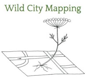 Logo Wild City Mapping
